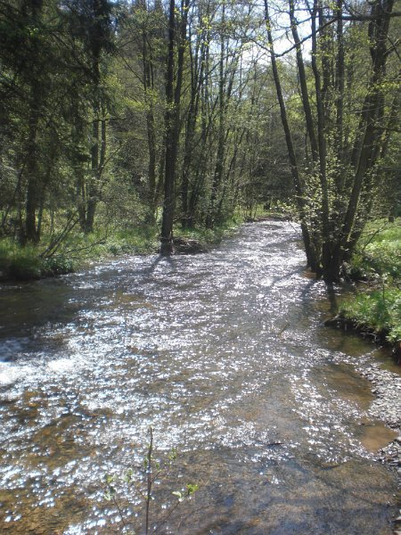 JekaD6OpStapJoost (194)